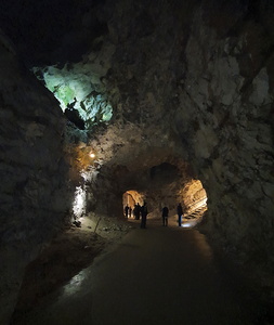 Mønsted Kalkgrupper