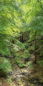 Salonbroen - Risskov