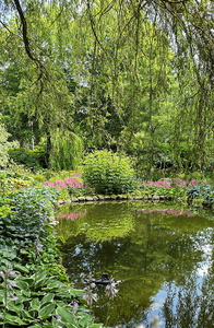 Enemærkets Hostahave