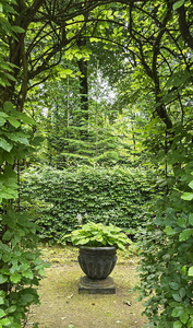 Enemærkets Hostahave