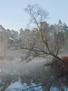 Vejlbo Mose - Silkeborg