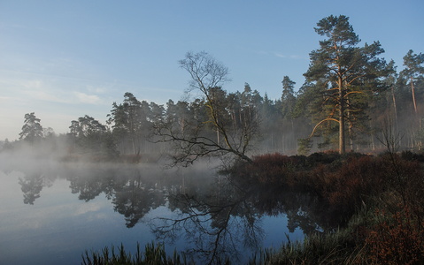 Vejlbo Mose - Silkeborg