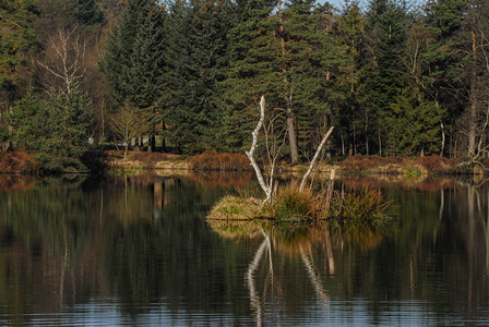 Vejlbo Mose - Silkeborg