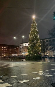Juletræ på rådhuspladsen (Århus)