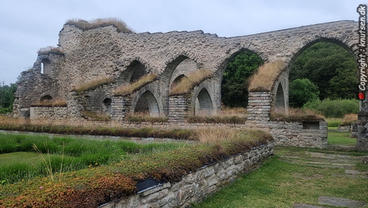 Alvastra klosterruin, cistercienserkloster nær Vättern-søen i Östergötland, Sverige.