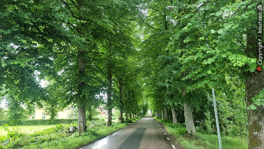 Kråkshult
